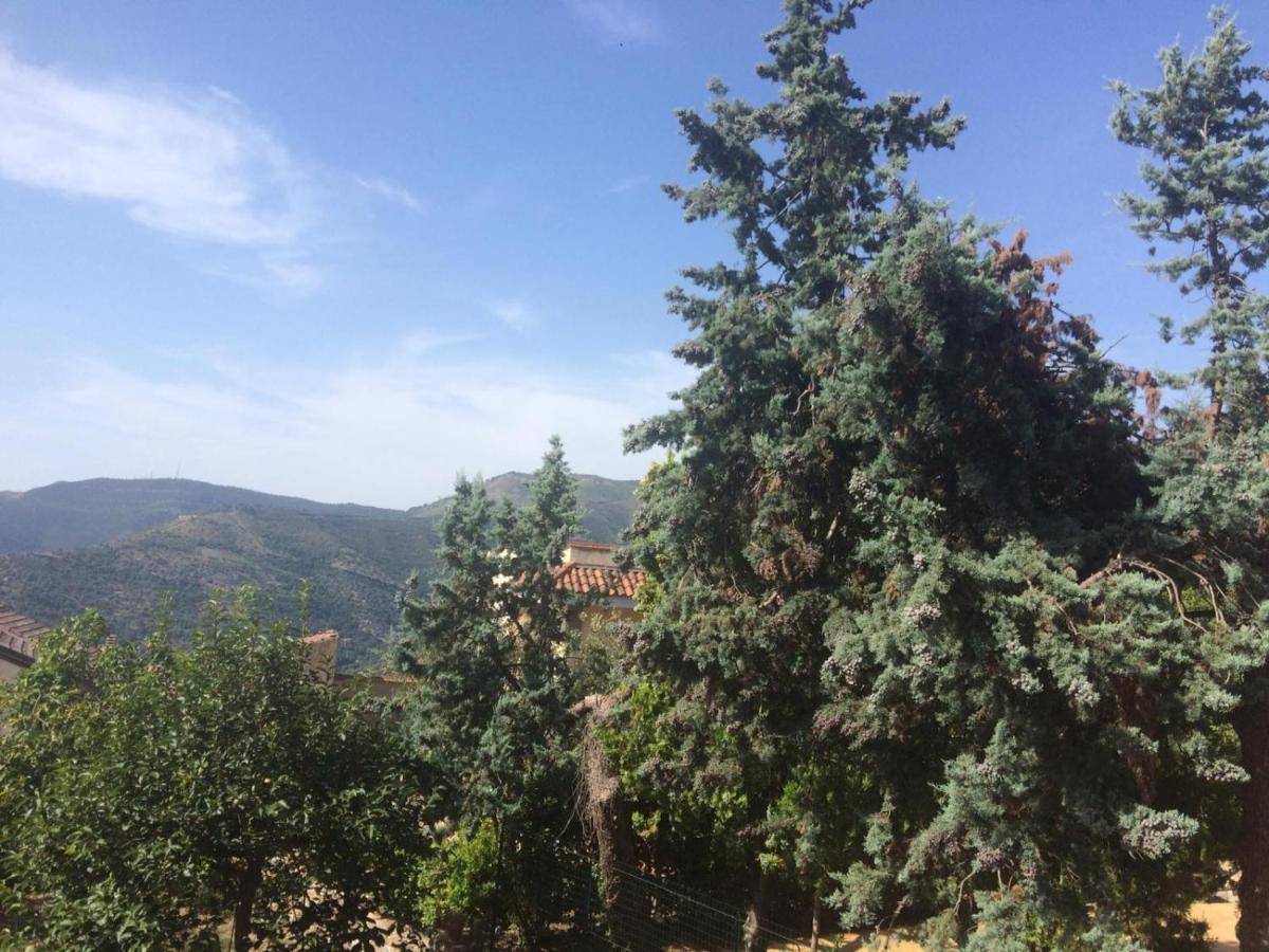 Palazzo Pascale Bed & Breakfast Casal Sottano Bagian luar foto